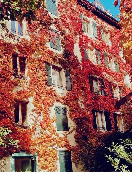 Appart'Hôtel Residence Dizerens, Женева