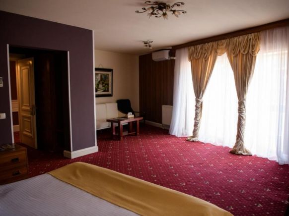 Отель Hotel Castel, Рымнику-Вылча