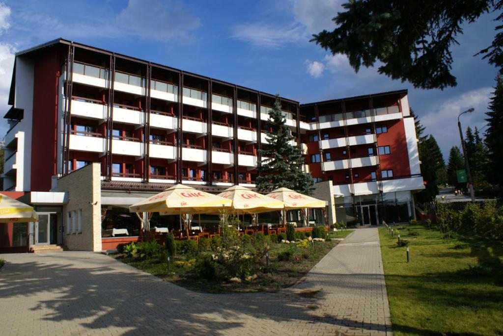 Hotel Carpați, Предял