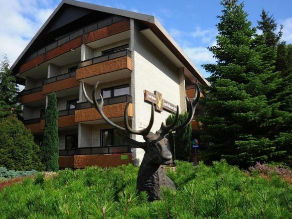 Kur- und Gesundheitshotel Zum Goldenen Hirsch