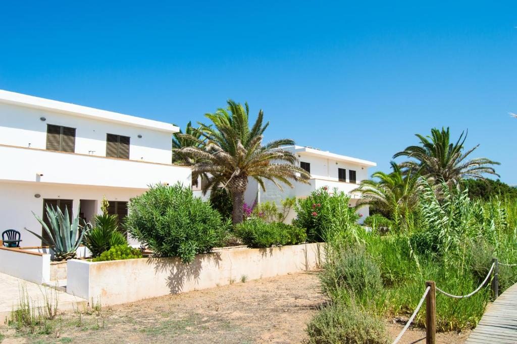 Sol y Mar, Ибица