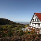 Berghof Grüner Baum (Hotel Garni)