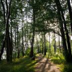 Пешие прогулки, База отдыха Лосево парк