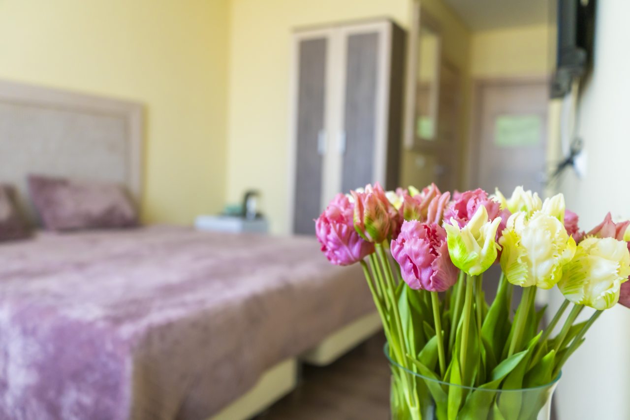 Двухместный (Стандарт, С 1 кроватью), Гостиница Оптимист