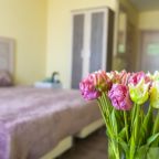 Двухместный (Большой, Twin), Гостиница Оптимист