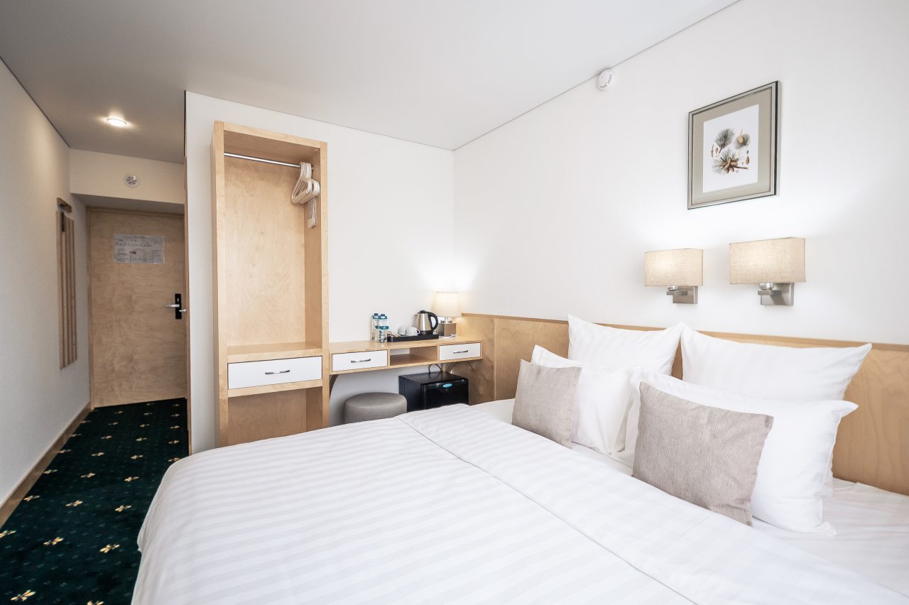 Двухместный (Стандартный с двуспальной кроватью), Отель Восток