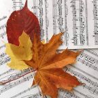 Музыкальные вечера каждый вторник/среду/четверг в 20:00, Отель Восток