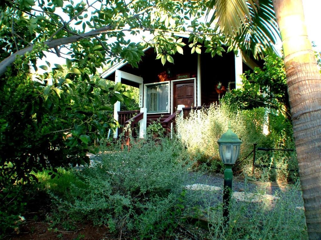 The Galilee Cabin, Тверия