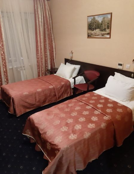 Фотография номера гостиницы Ангел