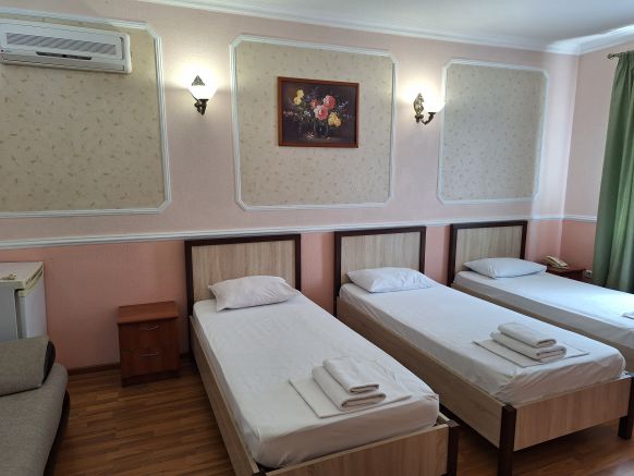 Фотография номера мини отеля Молодёжная
