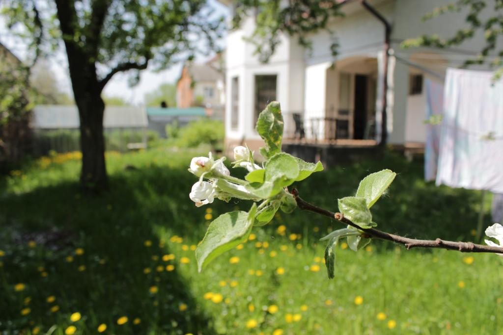 Номер (Односпальная кровать в общем номере с 5-ю кроватями) гостевого дома Жасмин, Минск