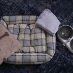 размещение с питомцем