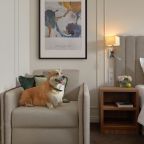 Допускается размещение домашних животных, Гостиница Easy Room