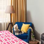 Допускается размещение домашних животных, Гостиница Easy Room