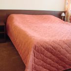 Двухместный (Стандарт DBL 102), Парк-Отель