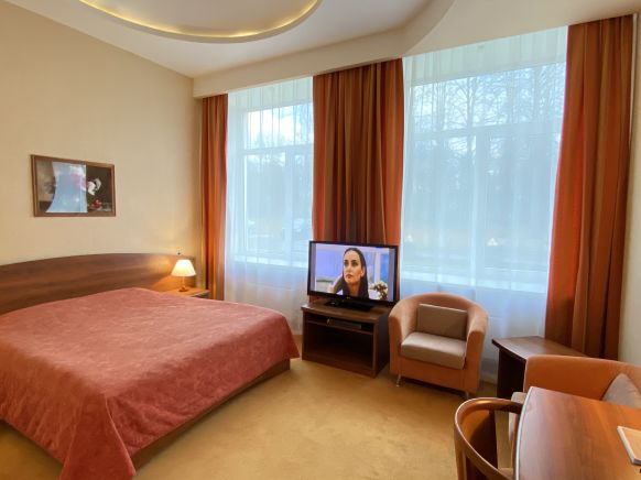 Фотография номера гостиницы Парк Отель