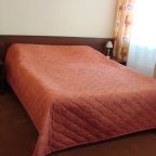 Двухместный (Стандарт DBL 106), Парк-Отель