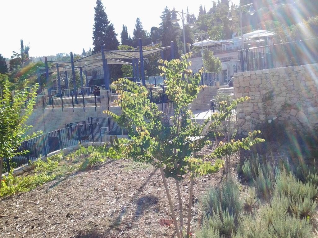 Трехместный (Трехместный номер), Rosary Sister Guest House Ein Karem