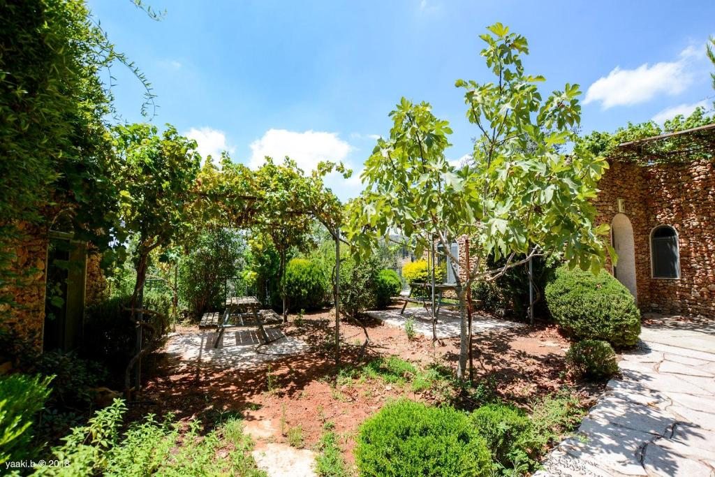 Сьюит (Апартаменты (для 2–4 взрослых)) гостевого дома Tur Sinai Organic Farm Resort, Иерусалим