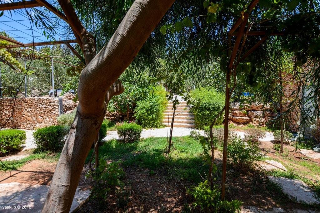 Сьюит (Апартаменты (для 2–4 взрослых)), Tur Sinai Organic Farm Resort