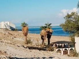 Rose Dead Sea Neve Zohar, Неве-Зоар