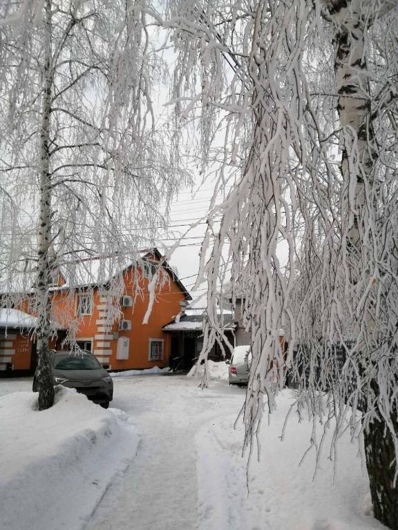 Четырехместный (Улучшенный номер), Отель Патио