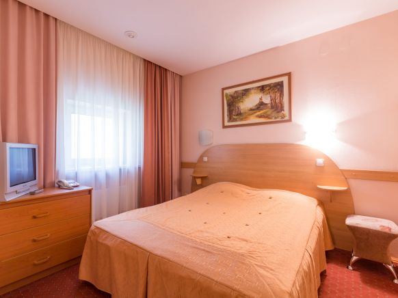 Фотография номера гостиницы Луна