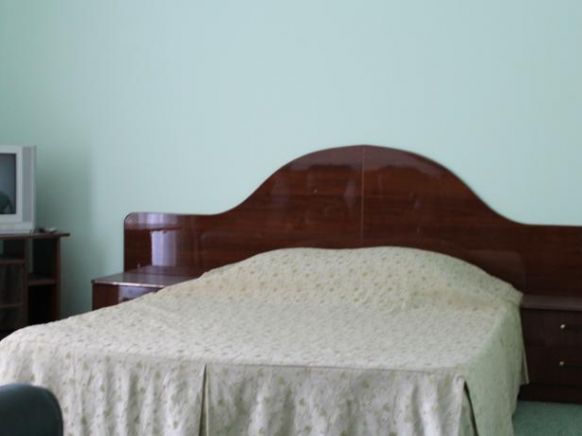 Фотография номера гостиницы Давид