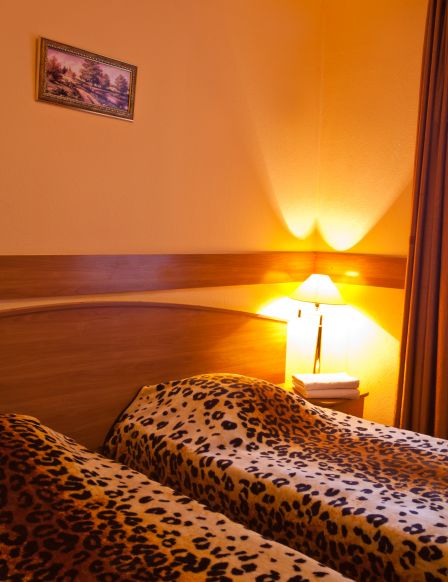 Фотография номера гостиницы Кристалл