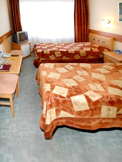 Двухместный (Стандарт с кондиционером) гостиницы Ловеч, Рязань