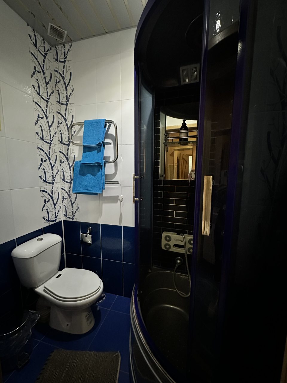 Одноместный (Одноместный комфорт), Отель Виктория