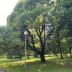 Сад, Отель Нагорное