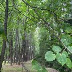 Пешие прогулки, Отель Нагорное