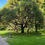 Территория для прогулки