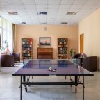 настольный теннис