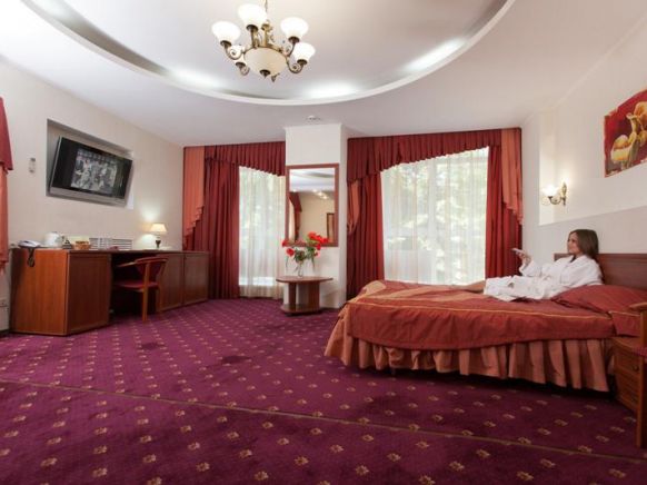 Фотография номера гостиницы АМАКС Парк-отель