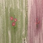 Семейный (Двухкомнатный  номер), Отель Флигель
