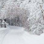 Новогодняя программа в санатории Переделкино, Санаторий Переделкино