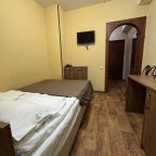 Двухместный (Стандарт с двуспальной кроватью), Гостиница Царицынский комплекс