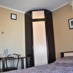 Стандартный двухместный номер с 1 кроватью в отеле «Вояджер», Москва