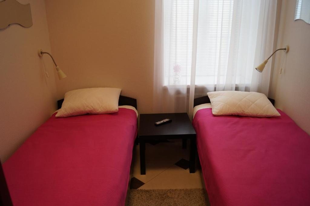 Двухместный (Бюджетный двухместный номер с 2 отдельными кроватями) мини-отеля Аристократ, Москва
