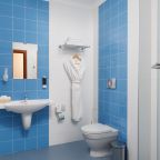Двухместный (Номер повышенной комфортности с 1 двуспальной кроватью (Double Comfort room)), Отель Малетон (Анохина)