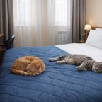 Проживание с питомцем, Отель Малетон (Анохина)