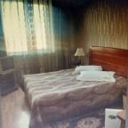 Одноместный (Одноместный 25 кв.м. 2 корпус), Отель Виктория