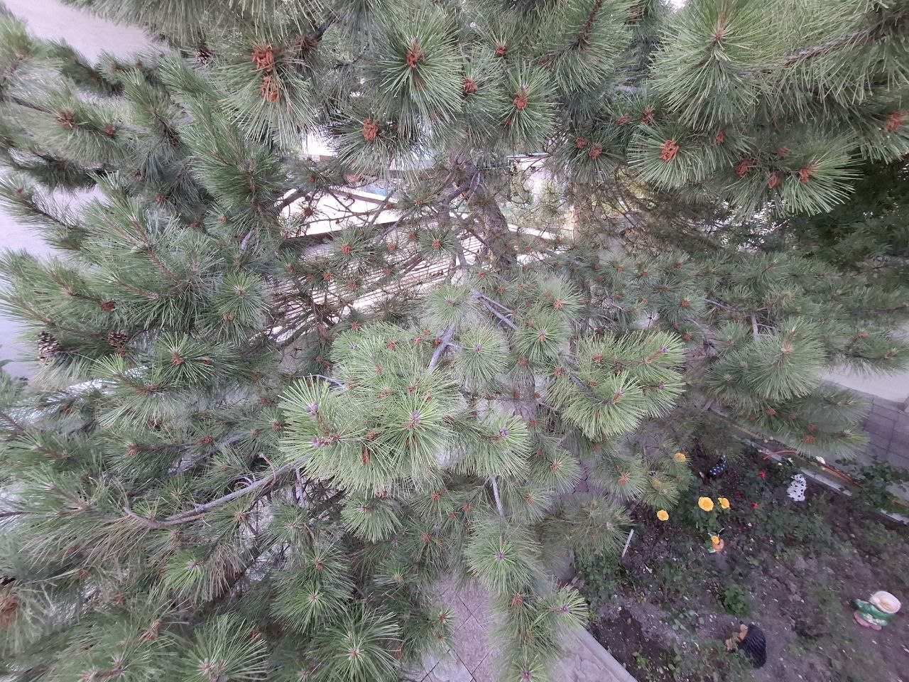 Апартаменты (№9_Мини-Кухня_4х-мест_2 эт), Гостевой дом Тихая гавань
