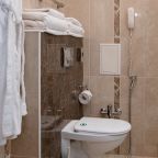 Двухместный (Первая категория, Улучшенный с 2 отдельными кроватями), Отель Степная Пальмира