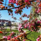 Прогулочная аллея у отеля Уралочка.