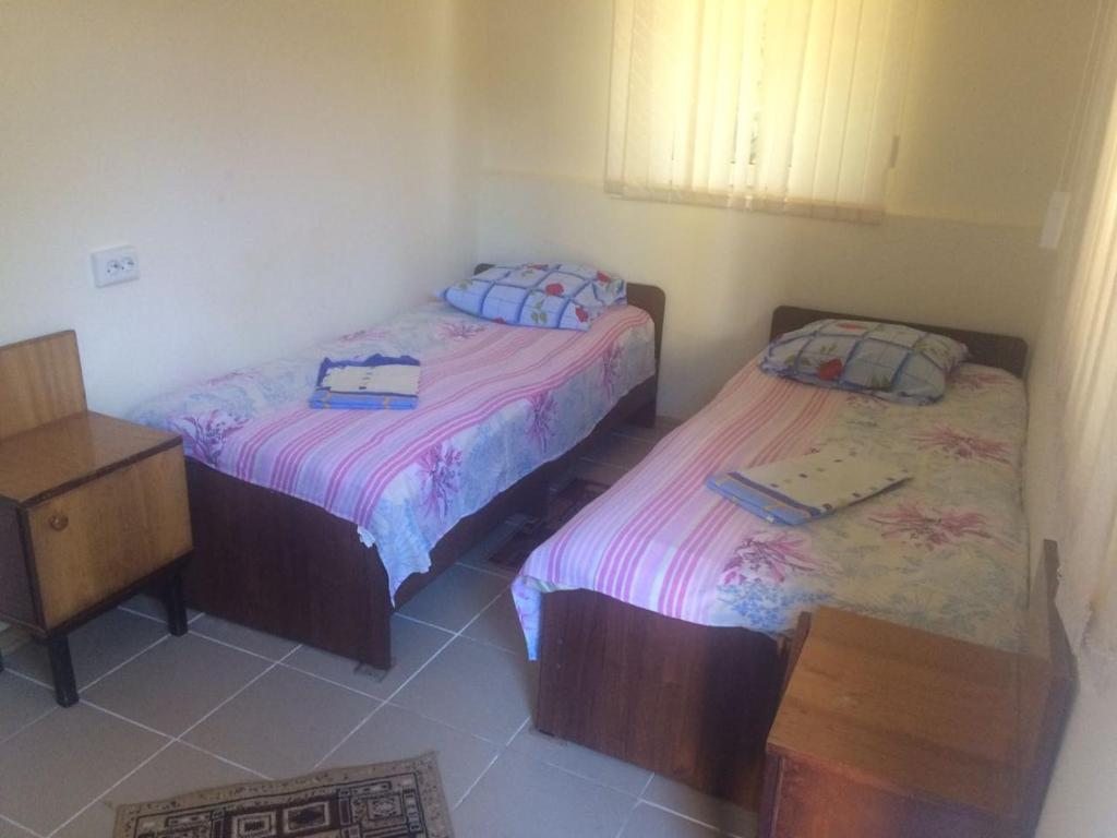 Двухместный (Бюджетный двухместный номер с 2 отдельными кроватями) гостевого дома Южная Пальмира, Пицунда