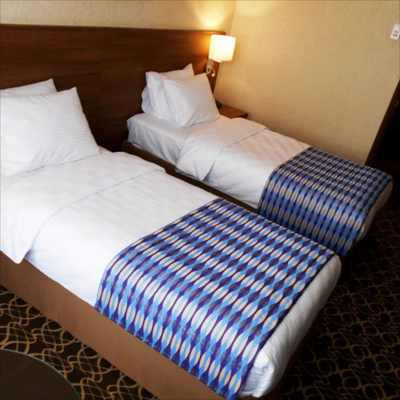 Фотография номера гостиницы Раймонд