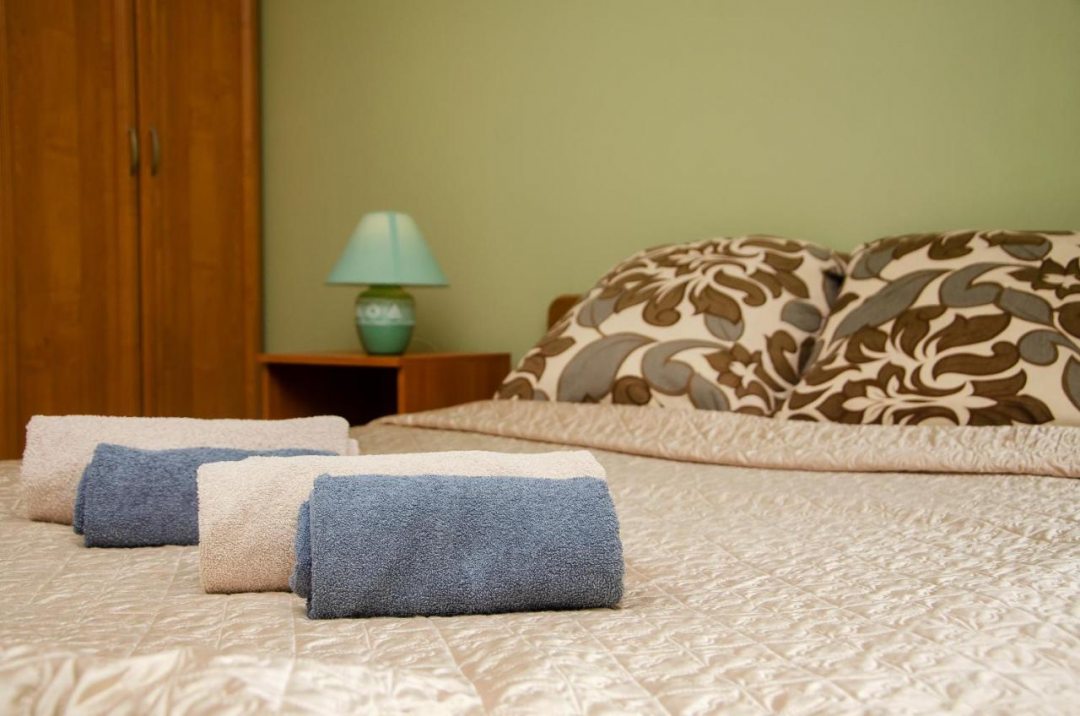 Двухместный (Номер с одной 2-х сп. кроватью и с удобствами в номере) мини-отеля Регион, Гатчина